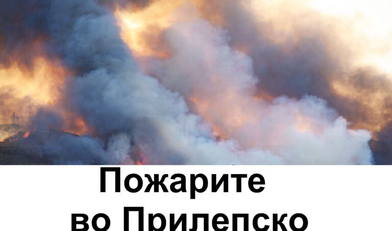Состојбата на пожарите во Прилепско