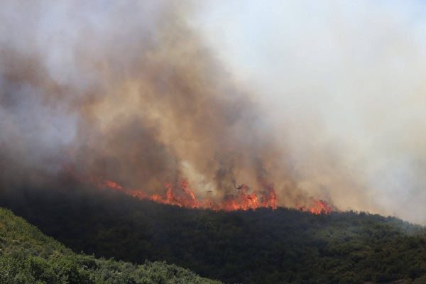 Албански државјани предизвикале шумски пожар во нашата земја??