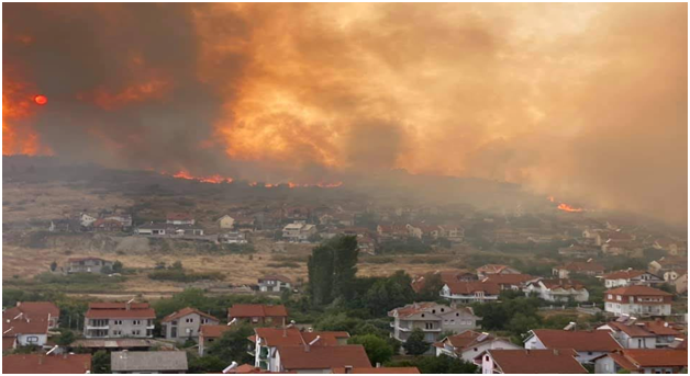 ПОМОШ: Пожарот во Кочани пристигна до првите куќи!!!