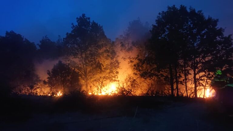 Денеска кај пожарите во Прилепско присуствуваа четворица американски и седуммина француски експерти