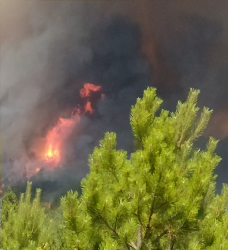 Голем пожар во Скопје-гори фабриката Треска