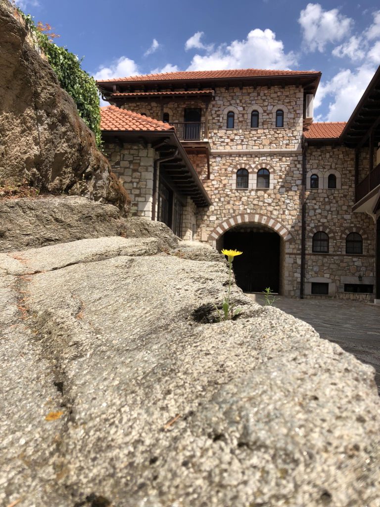 (фото) Тука сè е можно: Во манастирот во Зрзе изникна цвет од самата карпа