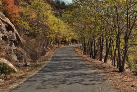 Викендов сончево време, со исклучок на утрата каде ќе имаме суви и облачни периоди