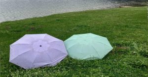 Еве какво време не очекува за време на 1 мај и продолжениот викенд