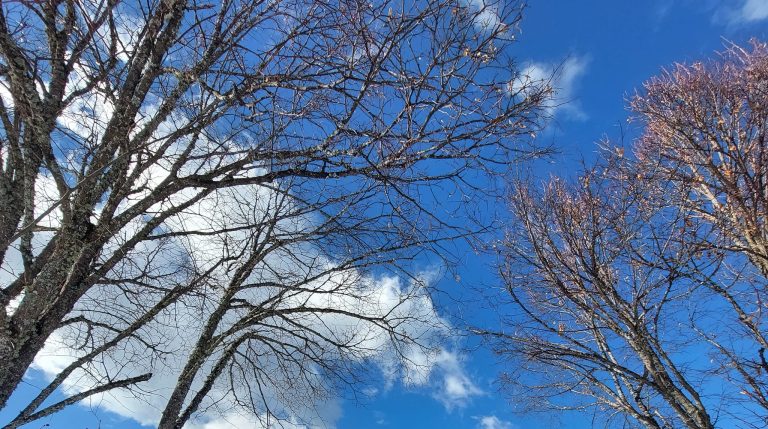 Од утре следуваат вистински есенски денови со повеќе дожд и драстичен пад на температурите