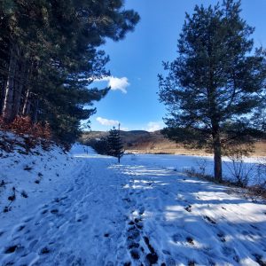 Денеска врнежите од дожд на повисоките места ќе преминуваат во врнежи од снег