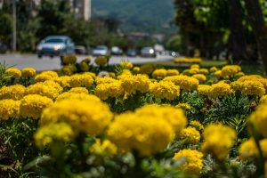 Денес и утре променливо облачно време со сончеви периоди! Од среда дожд и пониски температури