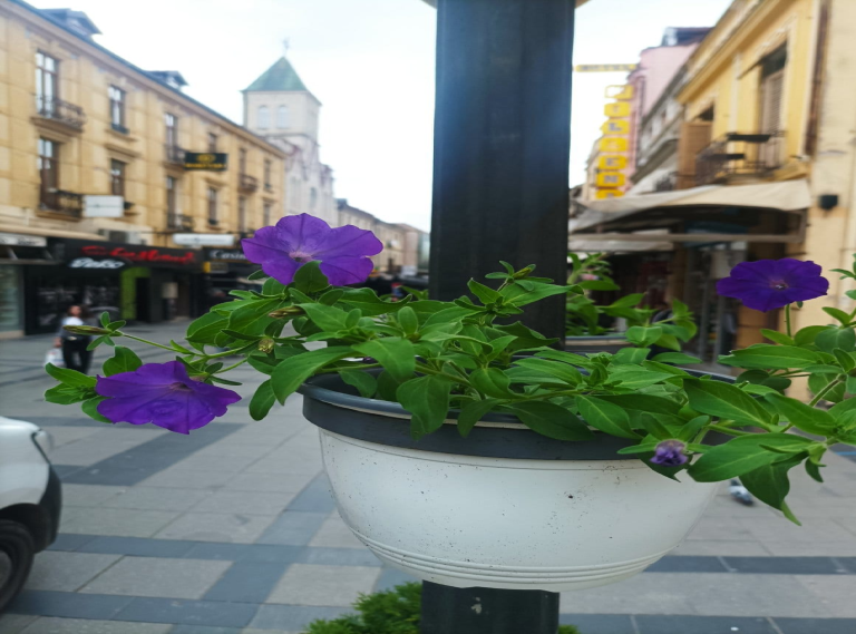 (фото) Широк Сокак, местото  кое “тивко шепоти” за убавата Битола