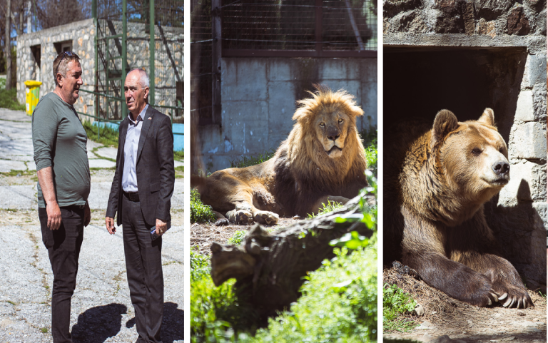Во битолската ЗОО овој месец пристигнуваат нови животни: бизони, антилопи, коати, свети ибис, сервал, буву буву, мајмуни од врстата на патас и мајмуни од врстата на лемури