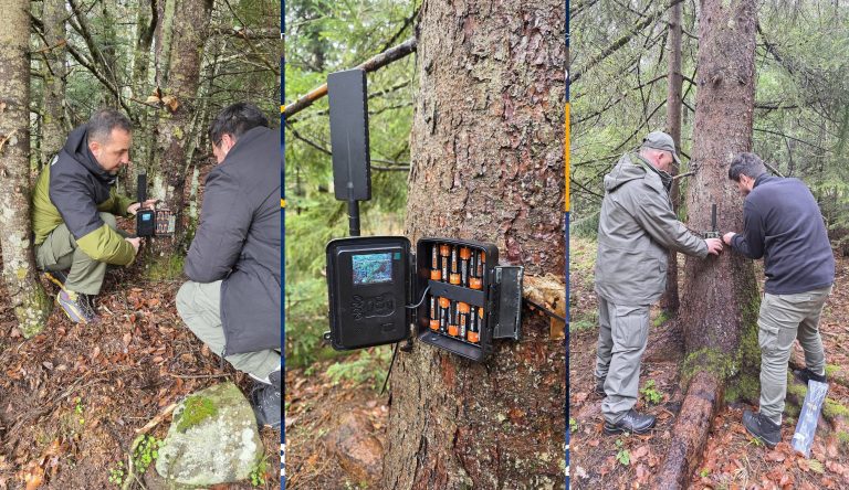 Наместени се нови 40 камери во реонот на Пелистер,Ниже Поле, Цапари, Вртушка и Брајчино