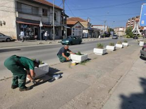 ЈКП Комуналец-Прилеп изврши бојадисување на жардиниерите пред старата општинска зграда и извршија засадување со грмушкасти украсни растенија